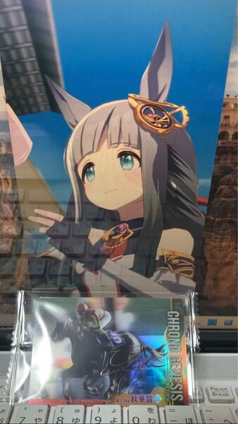 サラブレッドホースコレクション クロノジェネシス サイン タイキシャトル