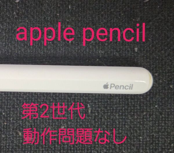 Apple Pencil 第2世代 動作問題なし 箱なし