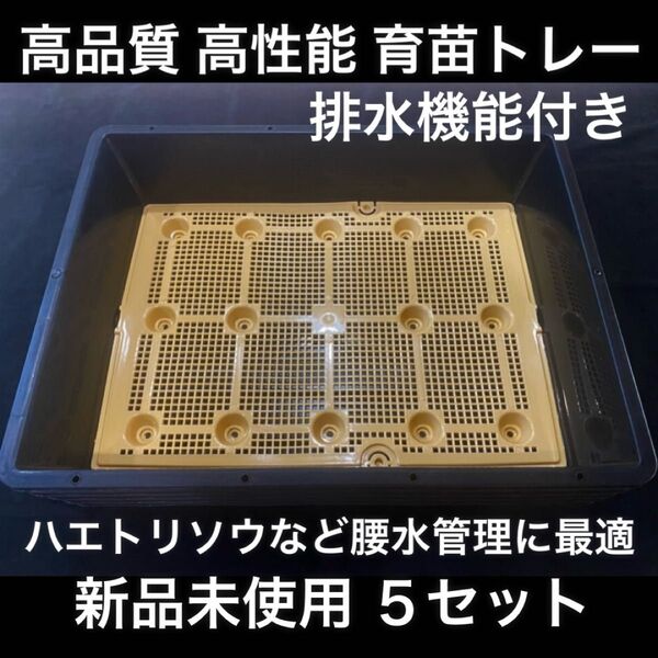 新品 高品質 育苗トレー 排水機能付き ブラック 5セット 33x43cm / コンテナ トレー 観葉植物 ハエトリソウ 育稲箱