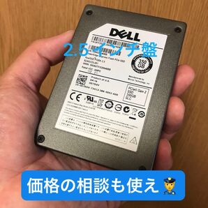 DELL男のU.2 PCIe SSD 350GB MTFDGAL350SAH@micron P320hのOEM 1台丸ごとSLC