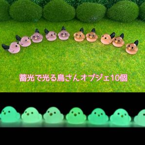 蓄光で光る鳥さんオブジェ10個 ミニチュア