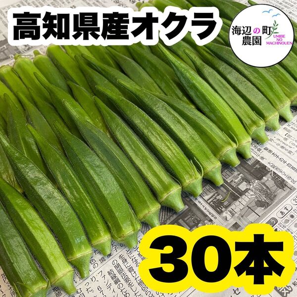 夏野菜【高知県産オクラ】A品&B品 30本 おくら 野菜 産地直送Tjn