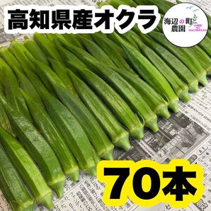 夏野菜【高知県産オクラ】A品&B品 70本 おくら 野菜 産地直送Trv