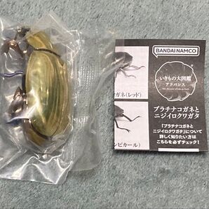 いきもの大図鑑アドバンス プラチナコガネとニジイロクワガタ プラチナコガネ(ゴールド)