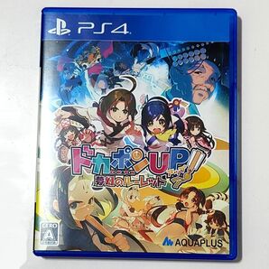 PS4 ドカポンUP! 夢幻のルーレット PS4 カードゲームRPG