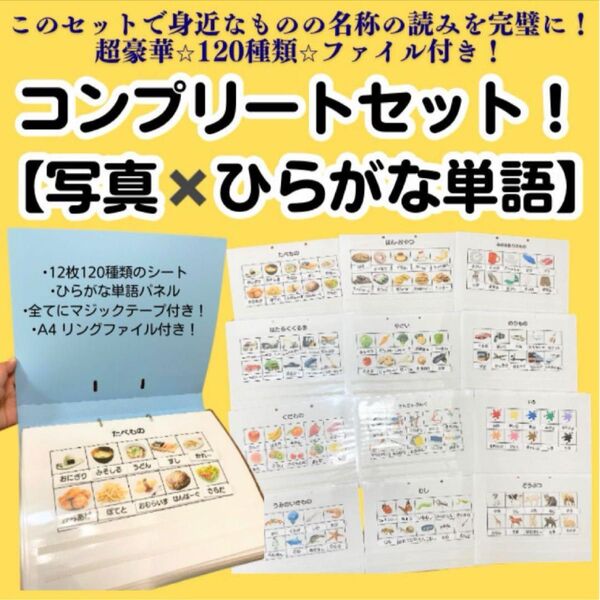 ひらがな教材 写真とひらがな単語の対応 コンプリートセット!療育 特別支援 知育