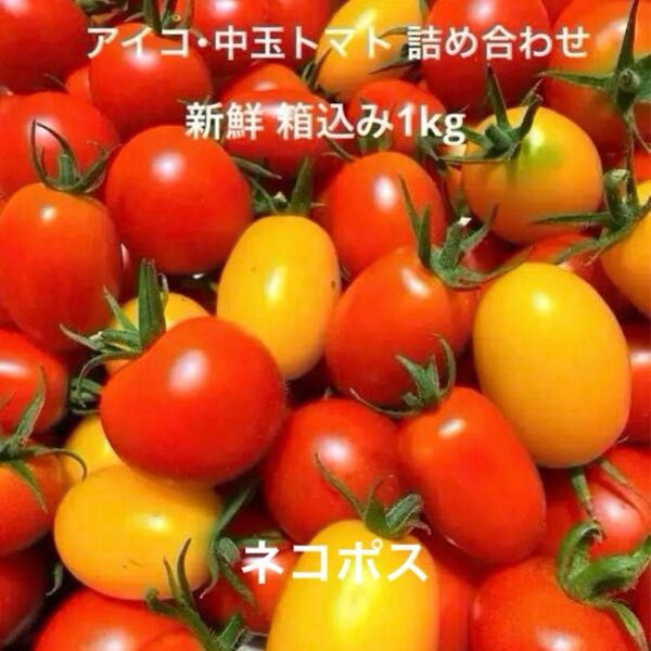 新鮮 カラフルミニトマト アイコ・中玉 詰め合わせ 箱込み1kg