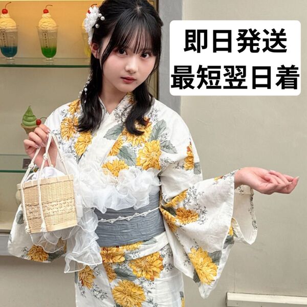 【本日限定セール価格】華やかダリア柄×上品くすみ帯 浴衣セット