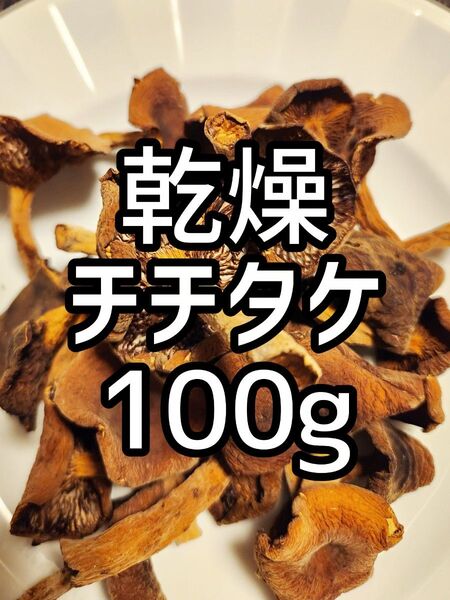 信州産 乾燥チチタケ 100g ちち茸 ちちたけ ちたけ