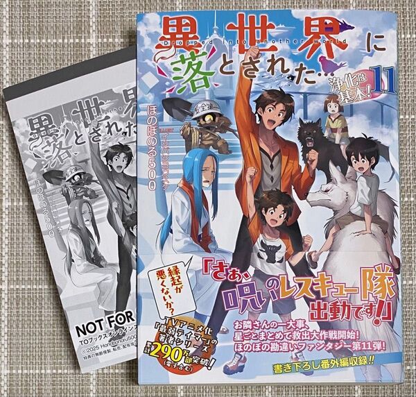 【7/15発売】異世界に落とされた…浄化は基本!11/TOブックス/SSペーパー付
