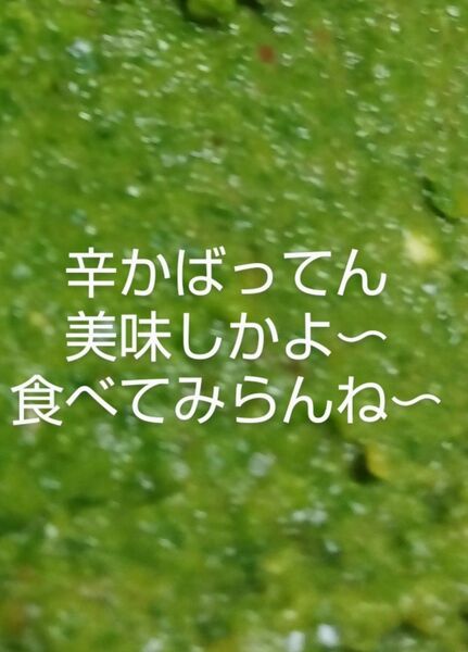 柚子胡椒 200g(100gを2袋)