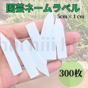 ラベル用300枚 タグ プランツ ガーデニング 園芸 植物タグ フラワー 多肉植物 園芸 白ネームプレート 植物ラベル 観葉植物