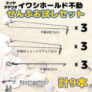 〈テンヤタチウオ〉イワシホールド・不動“セット”計9本入