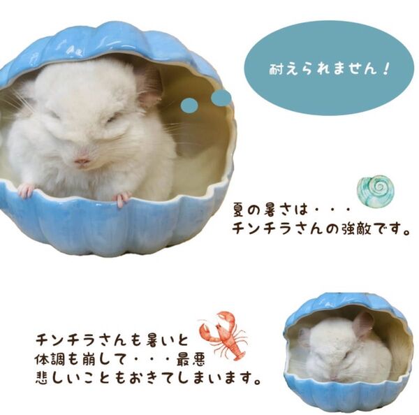 小動物用 陶器の貝がらハウス 陶器製 ハムスター チンチラ ハリネズミ デグー