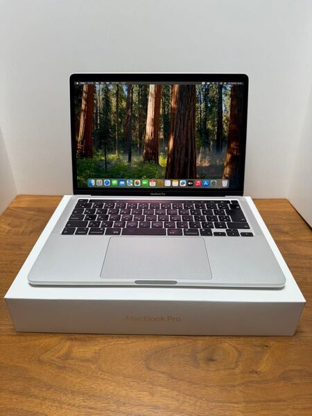 美品!MacBook Pro 2022 M2チップ シルバー