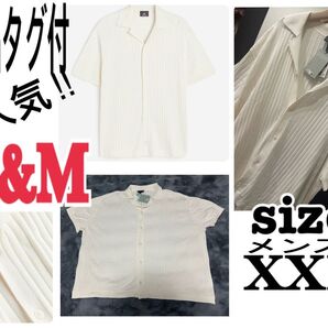 新品タグ付 H&M エイチアンドエム 大人気リブニットシャツ size XXL 半袖シャツ 無地