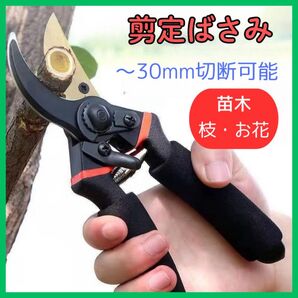 剪定バサミ ハサミ 枝切り ガーデニング 園芸 剪定ばさみ はさみ 庭木 植木 生け花 枝はさみ 園芸ハサミ 家庭菜園 野菜