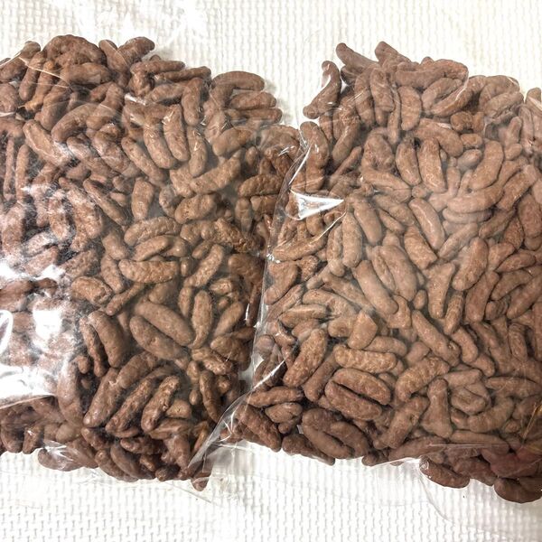 平塚製菓アウトレット☆大容量600g!☆チョコ掛け柿の種 2袋