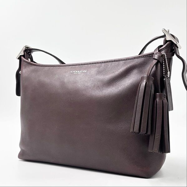【美品】COACH オールドコーチ ショルダーバッグ 25355 レザー 斜め掛け クロスボディー メッセンジャーバッグ