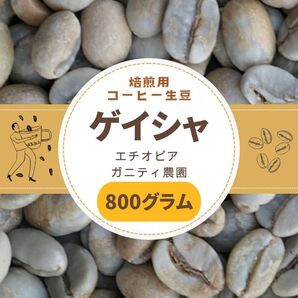 焙煎用 コーヒー生豆 ゲイシャ エチオピア ガニティ農園 800g
