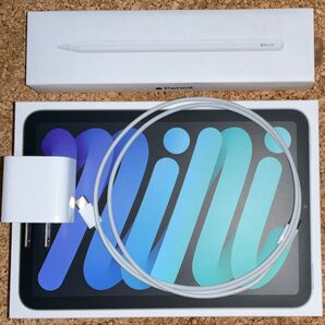 iPad mini 第6世代 セルラーモデル 256GB Apple Pencil 他3点元箱付きセット