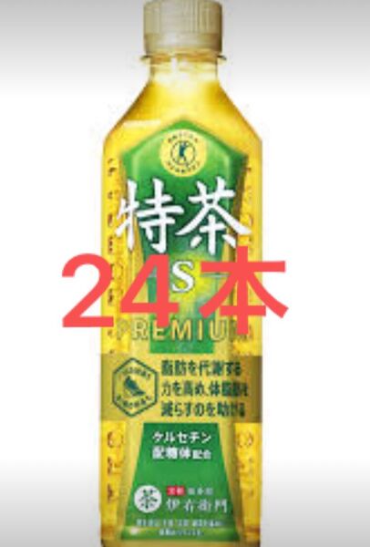 値下げ不可 特保 特茶 伊右衛門 500ml 24本 賞味期限2025年12月