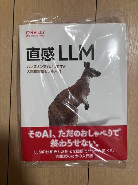 直感 LLM ―ハンズオンで動かして学ぶ大規模言語モデル入門