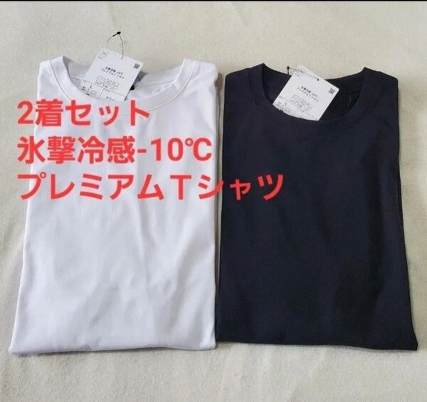 2枚セット ワークマン 氷撃冷感-10℃ プレミアムTシャツ 共にLサイズ 白と黒