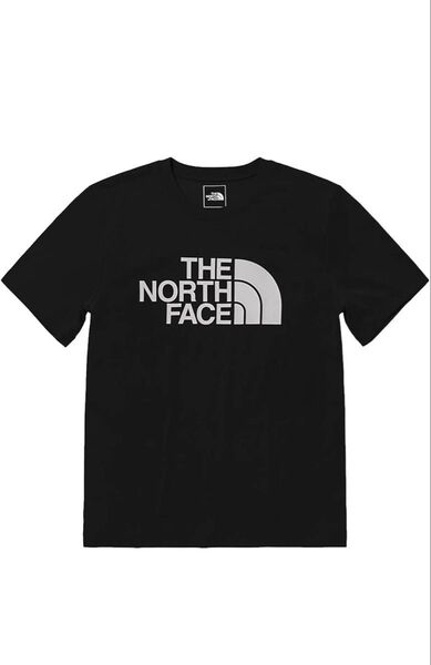 THE NORTH FACE 黒 ノースフェイス メンズ グラフィック 半袖Tシャツ ブラック 新品タグ付き Lサイズ