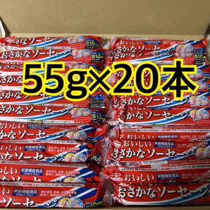 マルハニチロ おさかなソーセージ 魚肉ソーセージ 20本