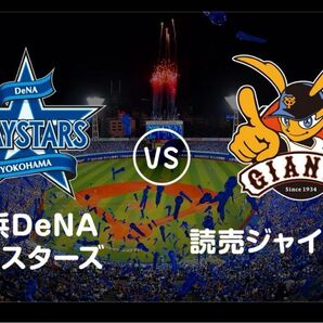 超良席バックネット裏★ 8月8日(金)横浜 VS 巨人 ハマスタ 2名席分 夏休み 野球観戦 横浜DeNAベイスターズ 希少