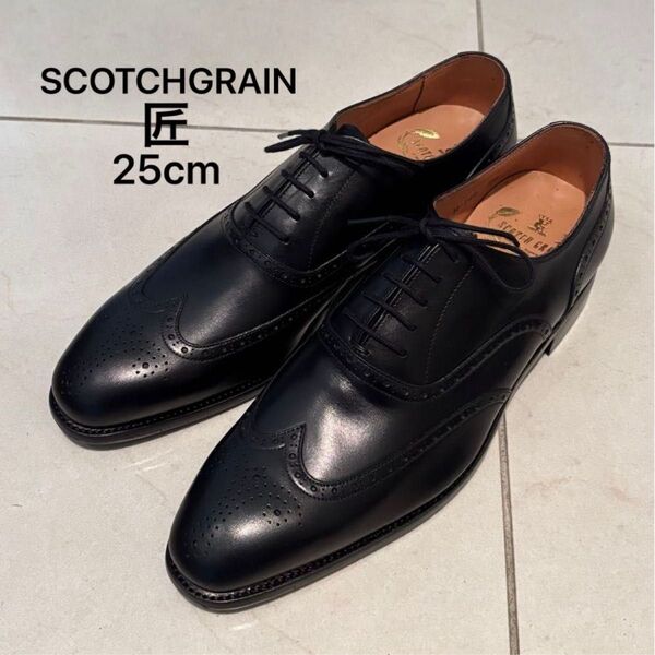 【ジャンク品】SCOTCH GRAIN スコッチグレイン 匠シリーズ 革靴 内羽根 25cm