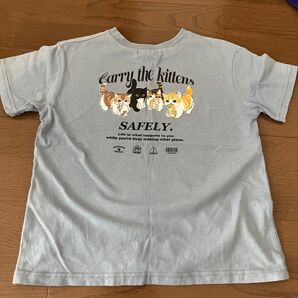 Tシャツ モフサンド mofusand 130サイズ