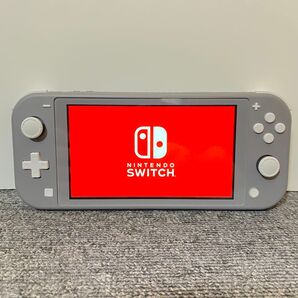 スイッチライト SwitchLite 本体 グレー 2025年製