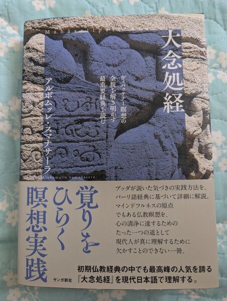 大念処経: ヴィパッサナー瞑想の全貌を解き明かす最重要経典を読む