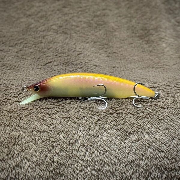 魚道ヘビーサーファー90 グローキス