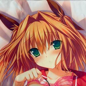 正規品 犬塚小春 抱き枕カバー