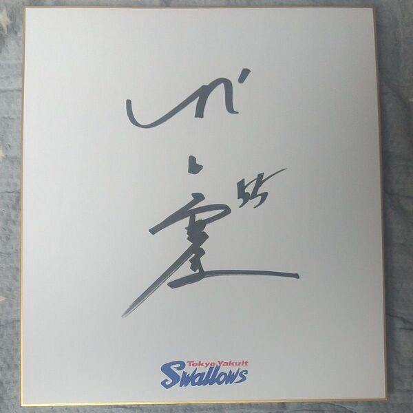 東京ヤクルトスワローズ 村上宗隆 直筆サイン色紙