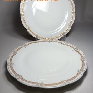 未使用 フッチェンロイター ヴィクトリア コラーレ プレート 大皿 2枚 希少 洋食器 アンティーク