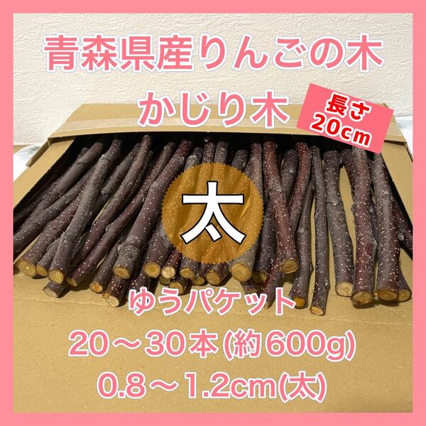 【青森県産】りんごの木 かじり木【AB農園】