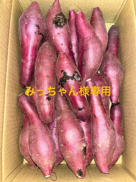 千葉県産紅はるかM 20kg