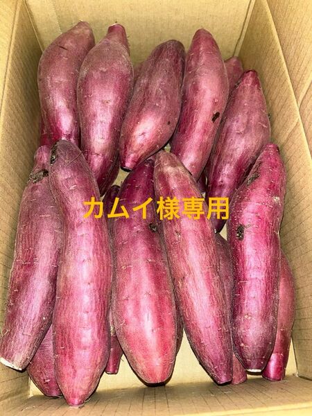 千葉県産紅はるかM 15kg