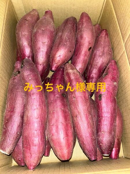 千葉県産紅はるかM15㎏