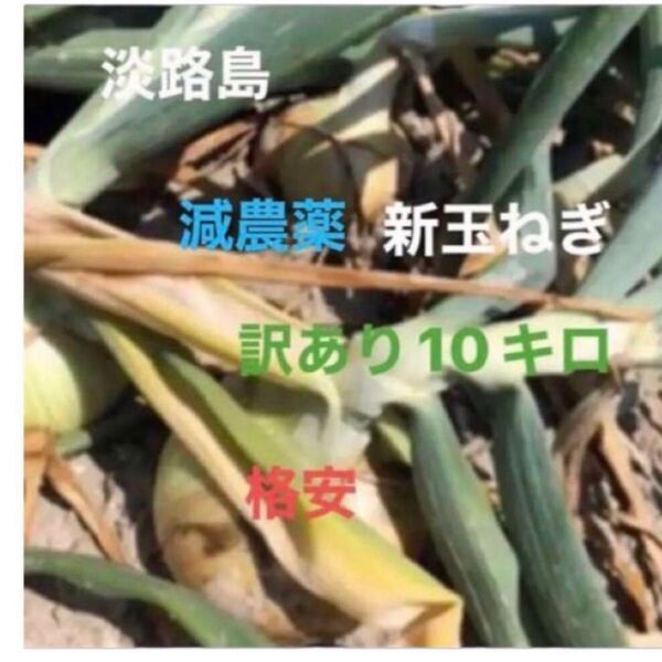玉ねぎ 格安 訳あり 淡路島産 たまねぎ 10キロ減農薬
