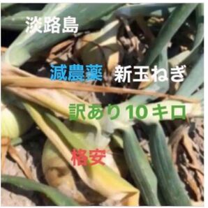 玉ねぎ 格安 訳あり 淡路島産 たまねぎ 10キロ 減農薬