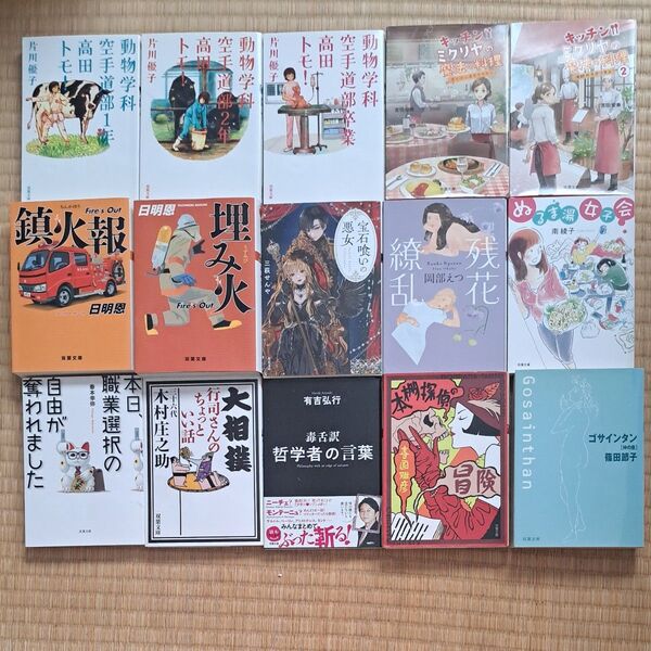 双葉文庫 1冊500円~750円2冊900円3冊1300円4冊1700円