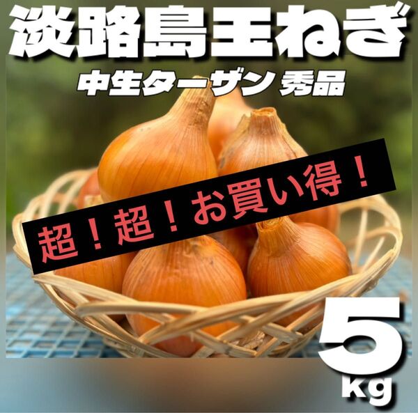 【秀品】淡路島玉ねぎ 中生ターザン M5kg