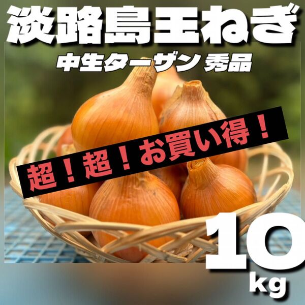 【秀品】淡路島玉ねぎ 中生ターザン M10kg 5㎏以上