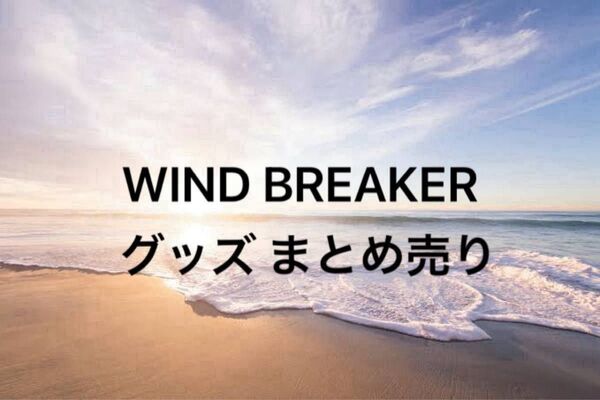 ウィンドブレーカー WIND BREAKER ウィンブレ まとめ売り