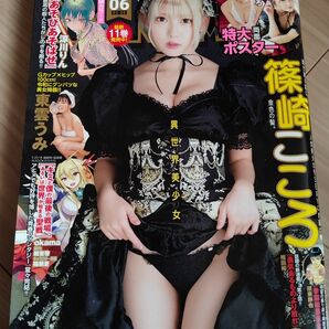 ヤングアニマル 篠崎こころ 東雲うみ No6 2021 グラビア ポスター グッズ 漫画 マンガ 週刊